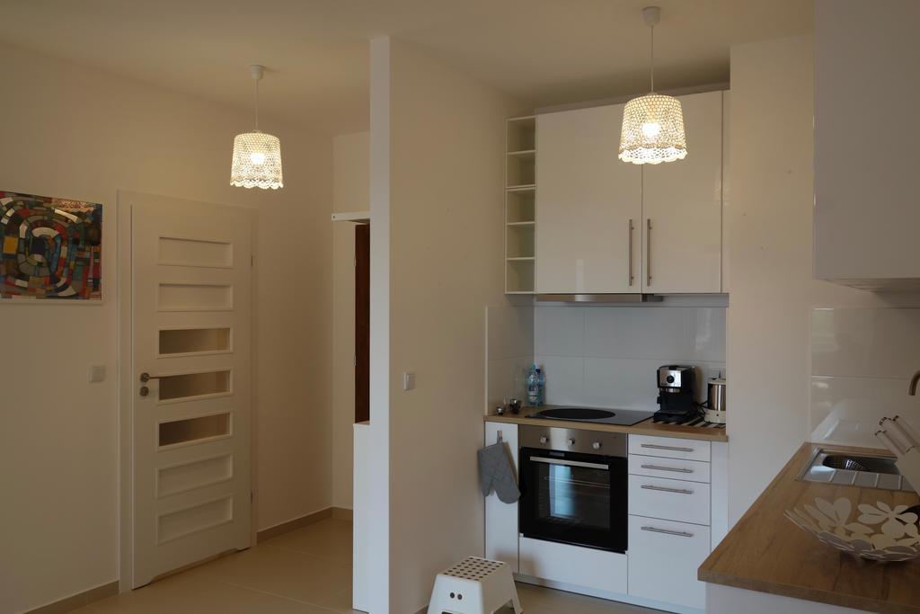 1 Bedroom Francuska Park Apartment Κατοβίτσε Εξωτερικό φωτογραφία